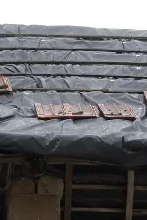 Tempestades danificaram 95% das casas nas Meirinhas, em Pombal